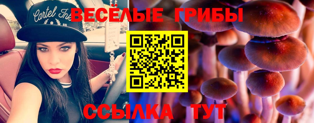 Галлюциногенные грибы Psilocybine cubensis  Вход с VPN  Бутурлиновка 