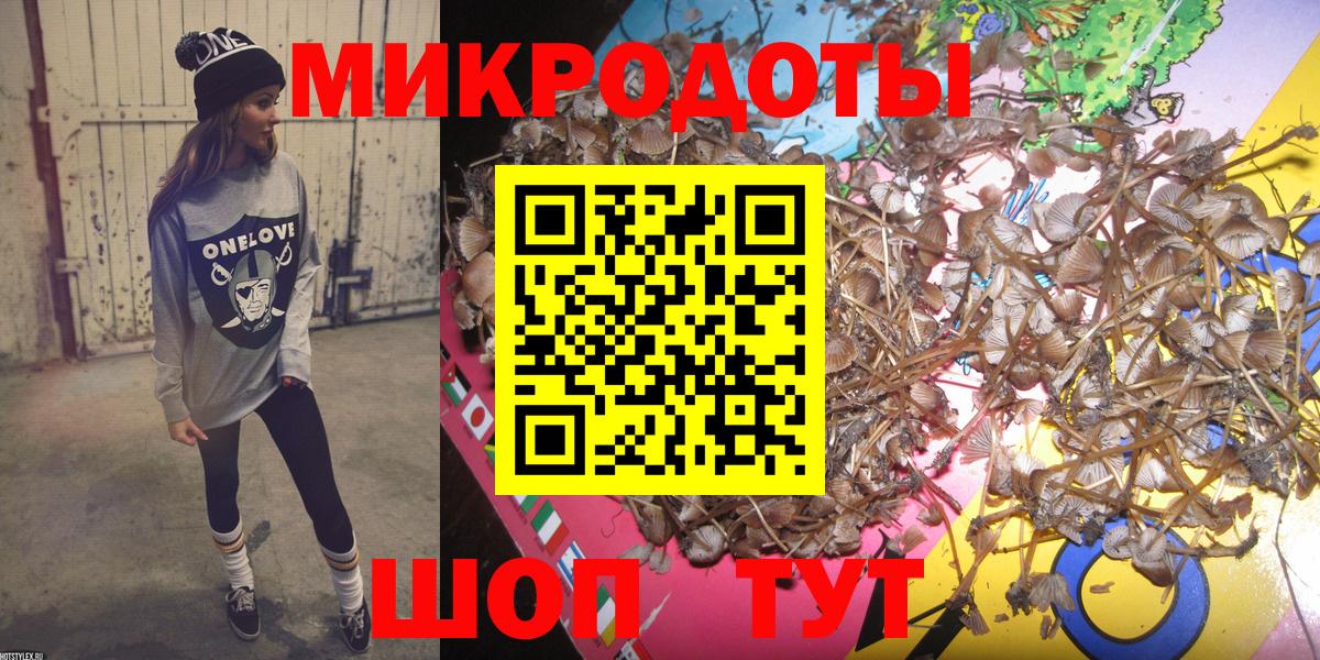 Галлюциногенные грибы Cubensis Бутурлиновка